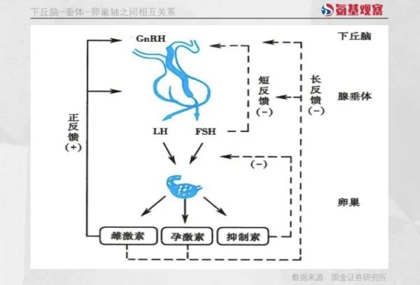 扬帆证劵： 当恒瑞医药BD国内权益