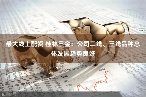 最大线上配资 桂林三金：公司二线、三线品种总体发展趋势良好