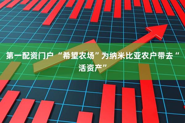 第一配资门户 “希望农场”为纳米比亚农户带去“活资产”